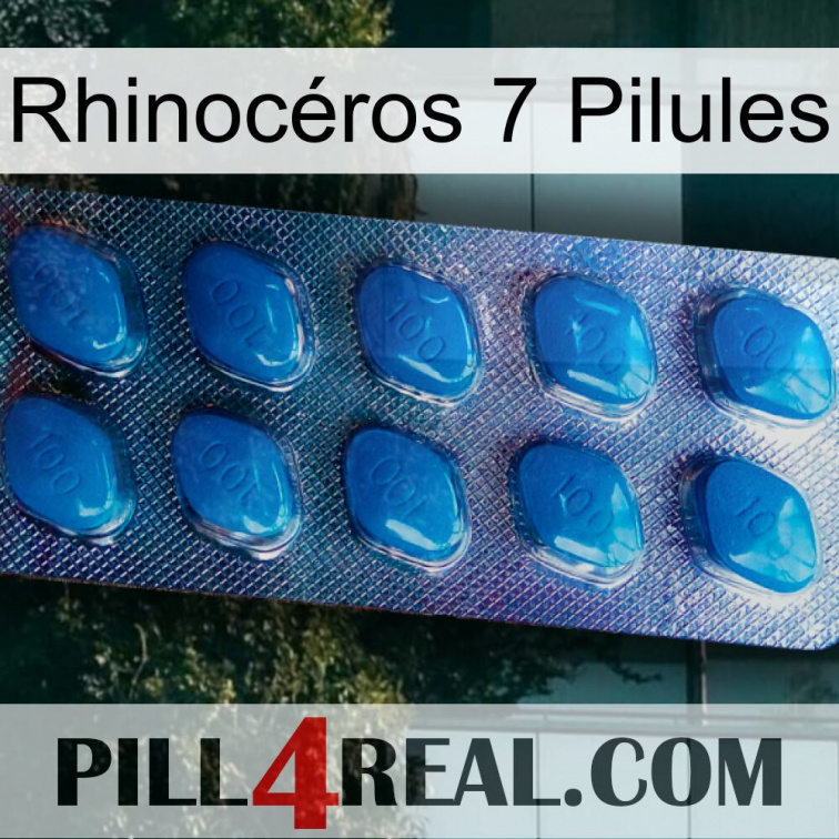Rhinocéros 7 Pilules viagra1